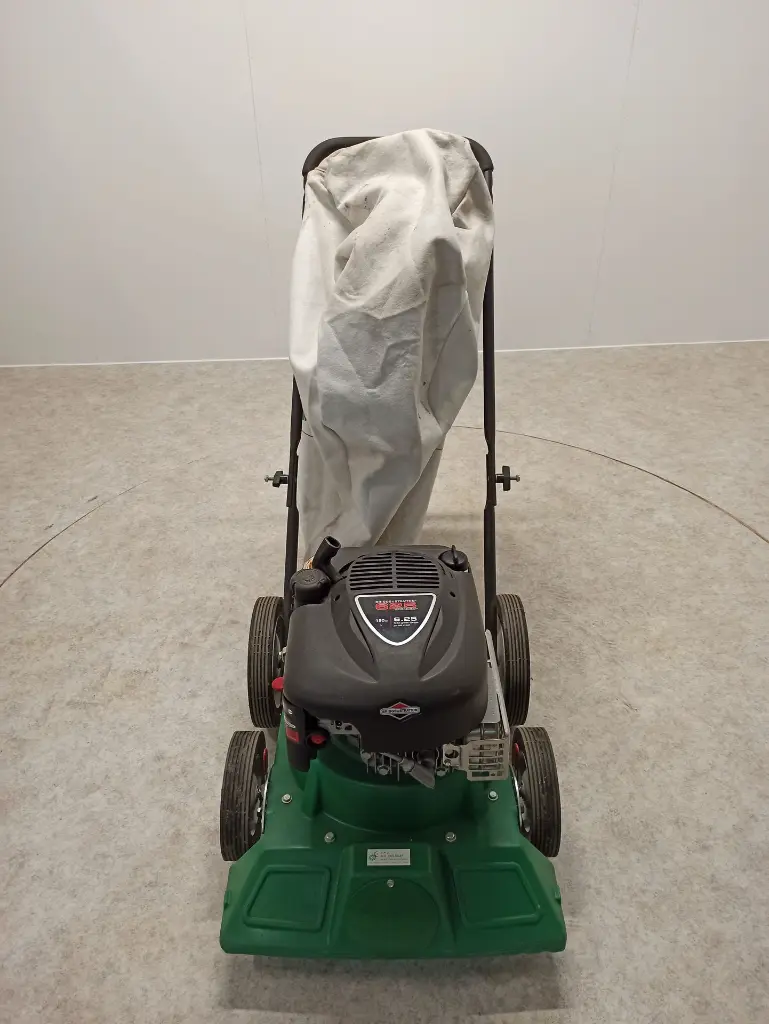 IMG_20241107_100953.webp