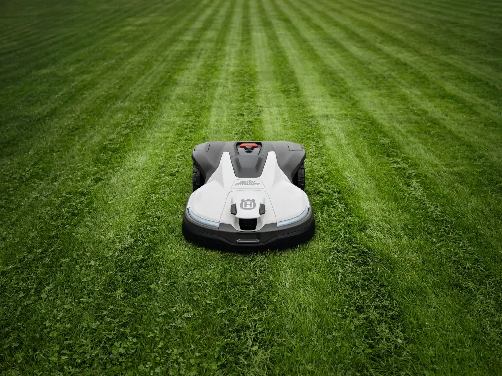 WS-994260.webp