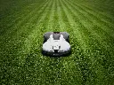 WS-994260.webp