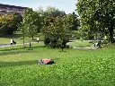 H350-0563.webp