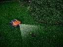 WK-203162.webp