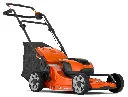 OX-239182.webp