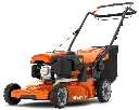LX-508189.webp
