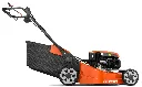 MO-446127.webp