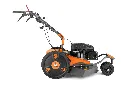 JP-039948.webp