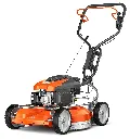 XA-909142.webp