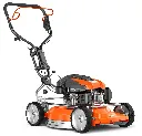 RL-309061.webp
