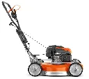 TM-709784.webp