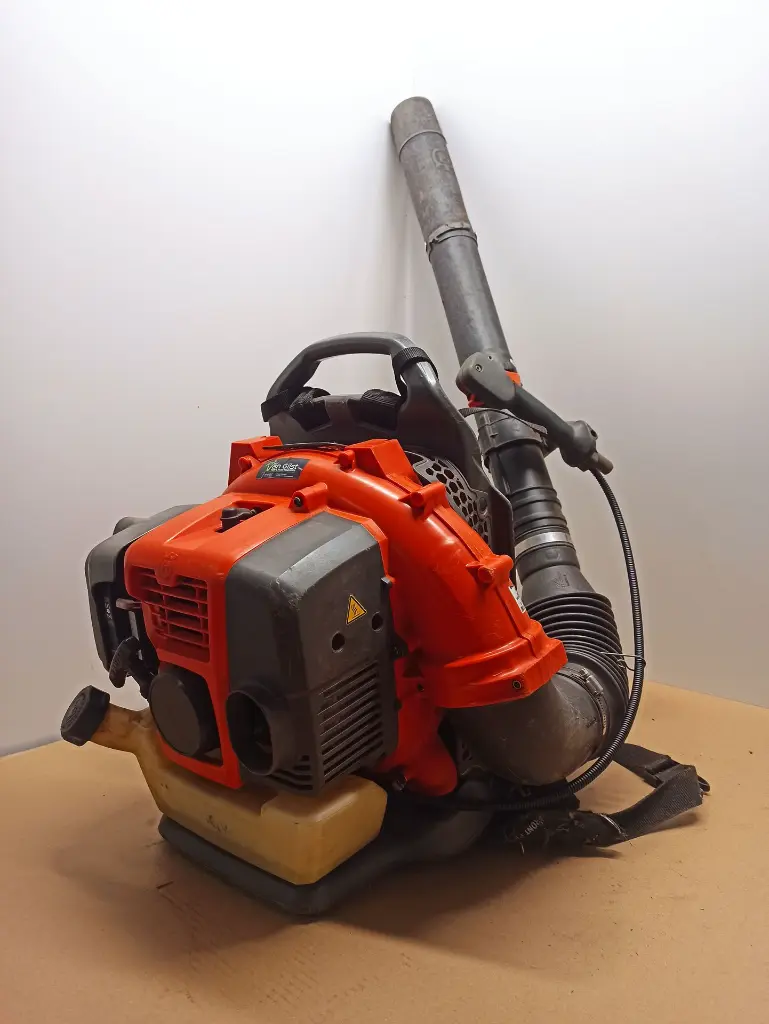 IMG_20241118_084307.webp
