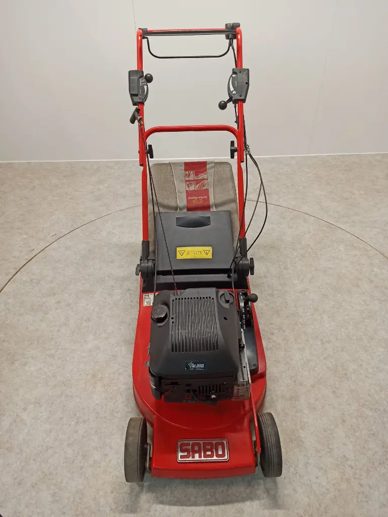 IMG_20241104_114844.webp
