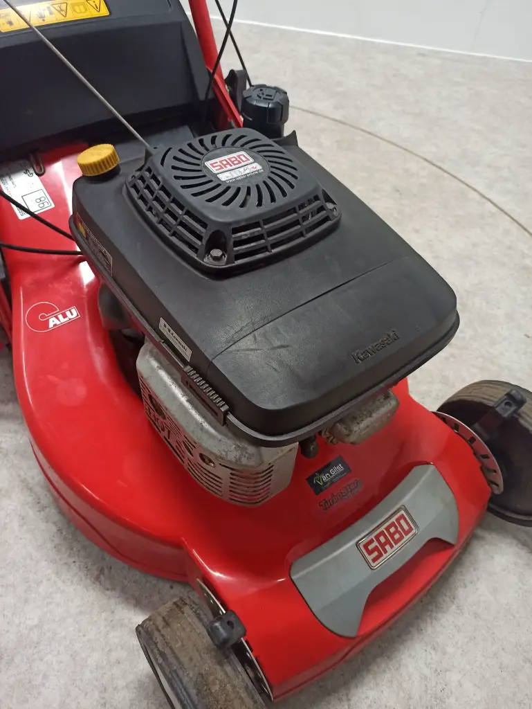 IMG_20241125_091507.webp