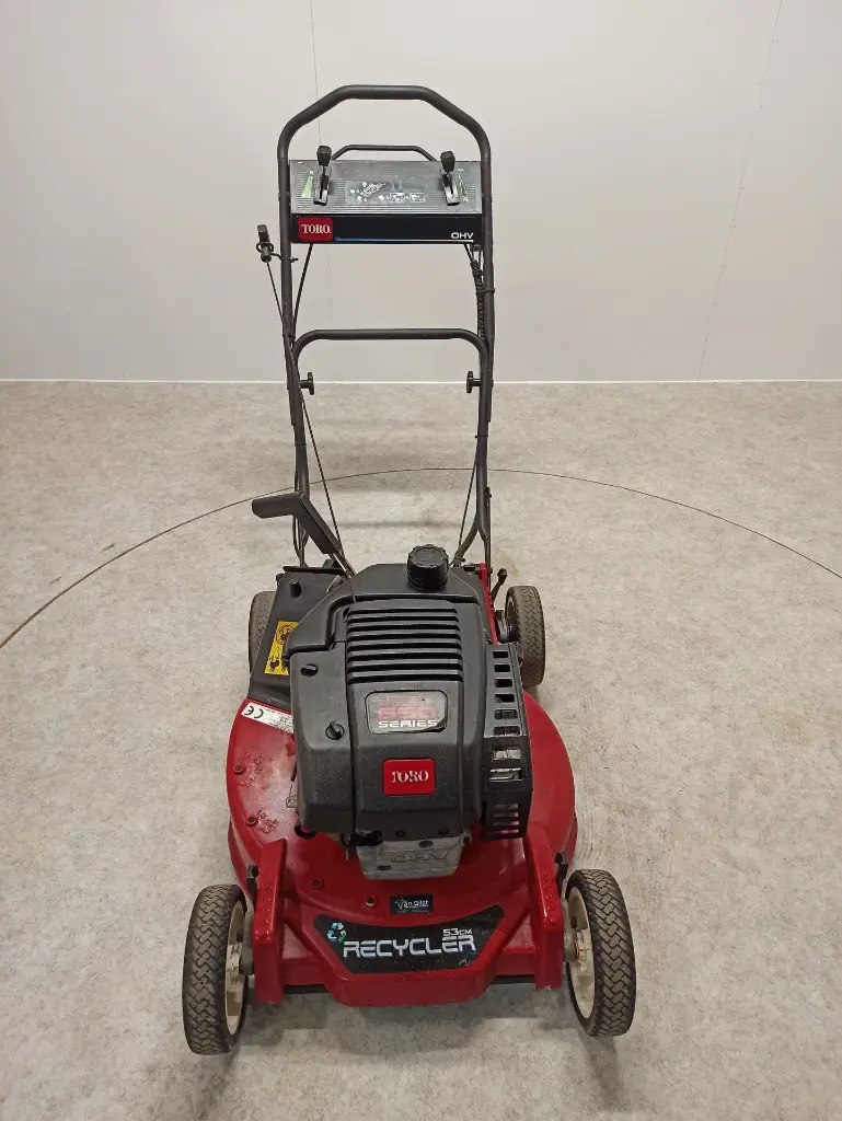 IMG_20241107_105036.webp