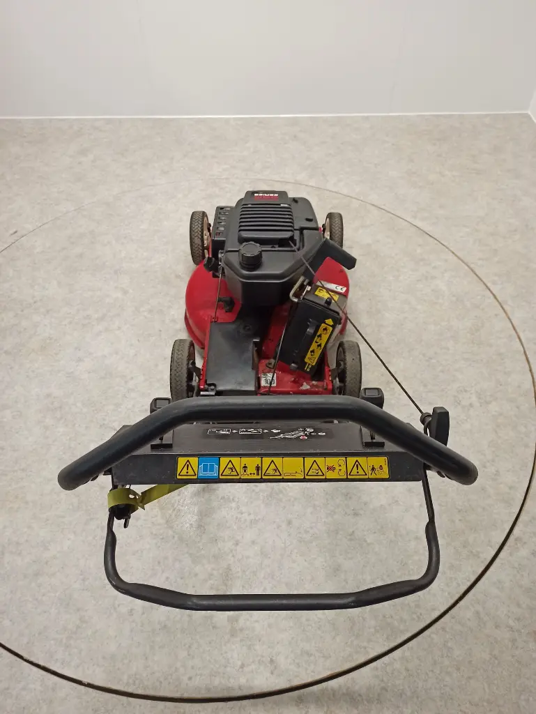 IMG_20241107_105352.webp