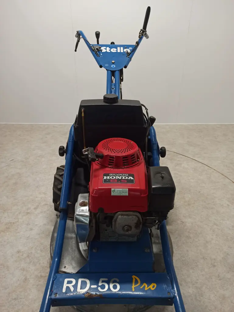 IMG_20241107_102819.webp