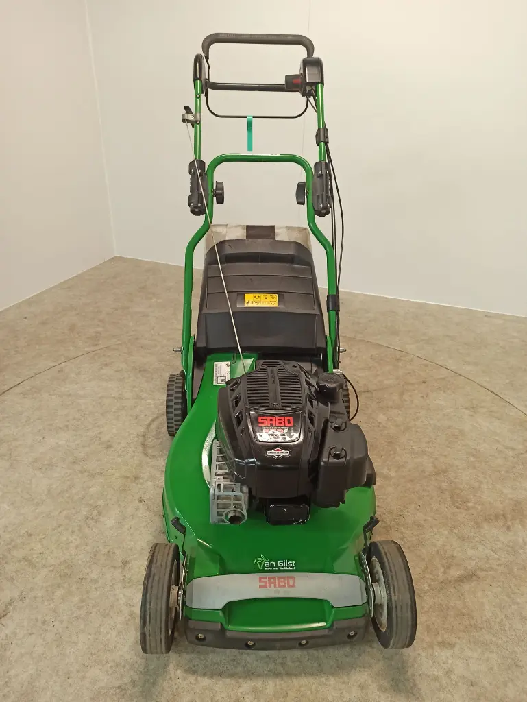 IMG_20250612_115040.webp