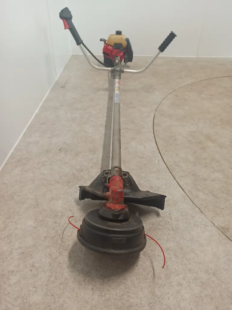 Robin NB411 -8301 Bosmaaier