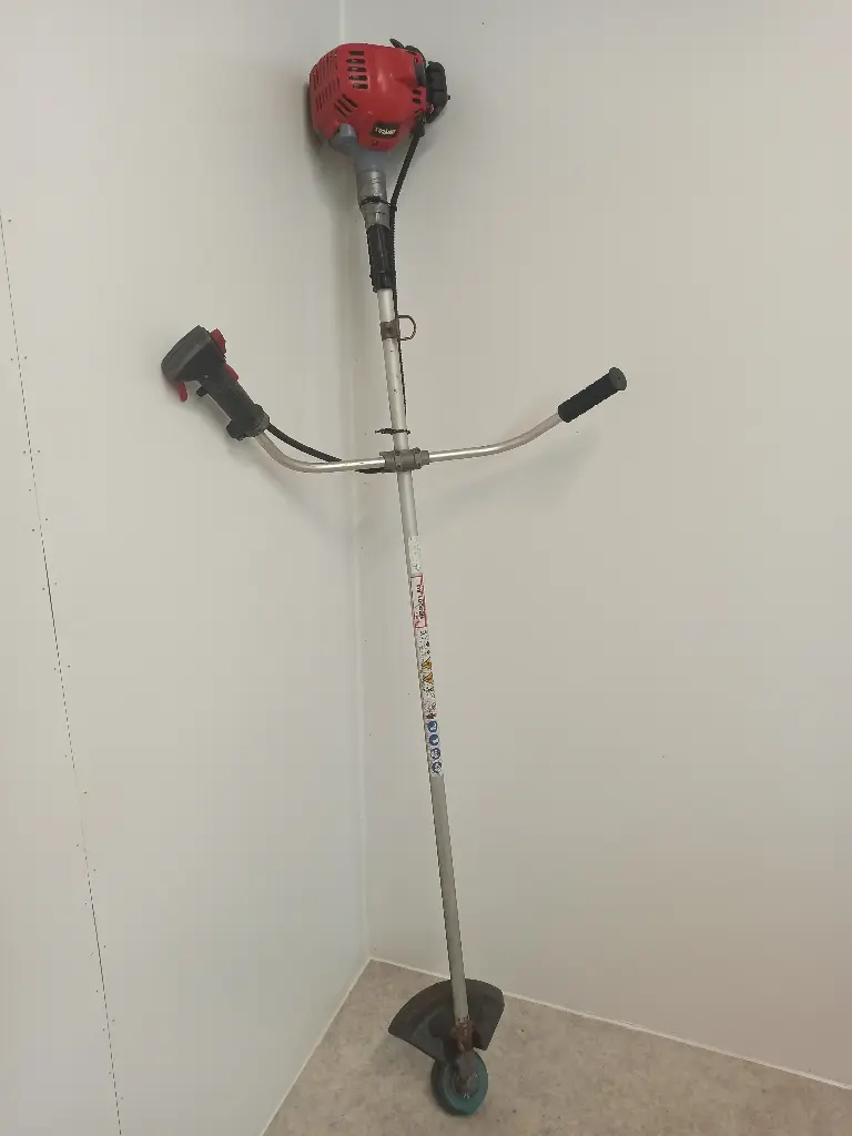 Robin NB2001 -0684 Bosmaaier