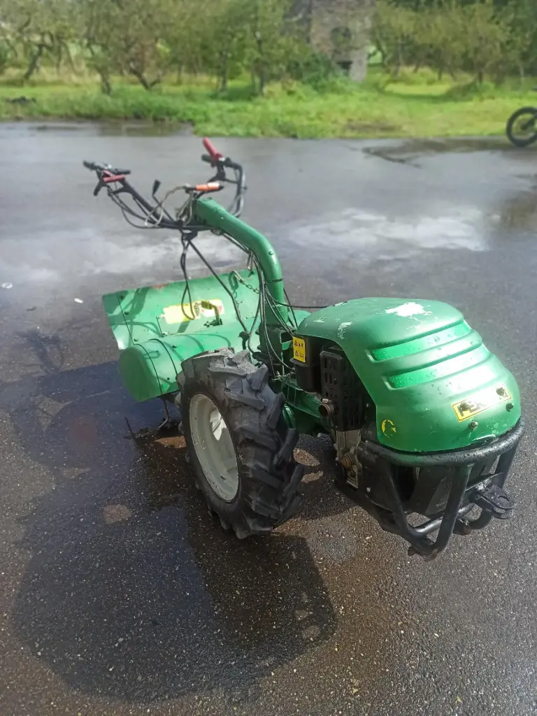 Ferrari Tuinfrees -00