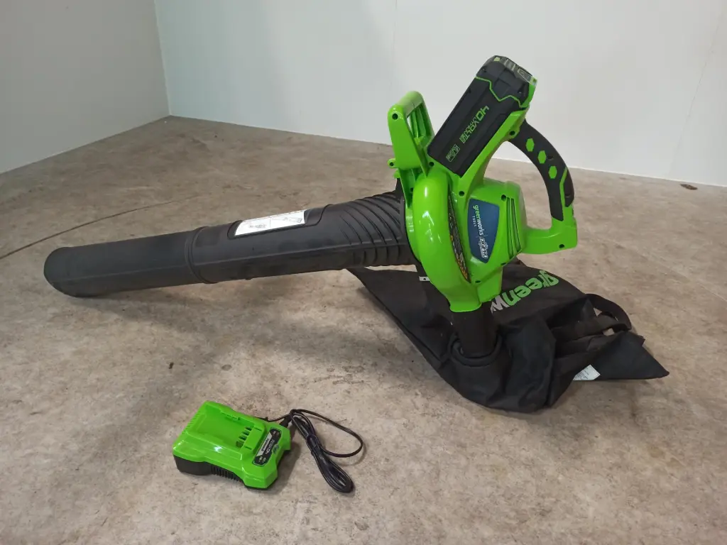 Greenworks Bladblazer -0305